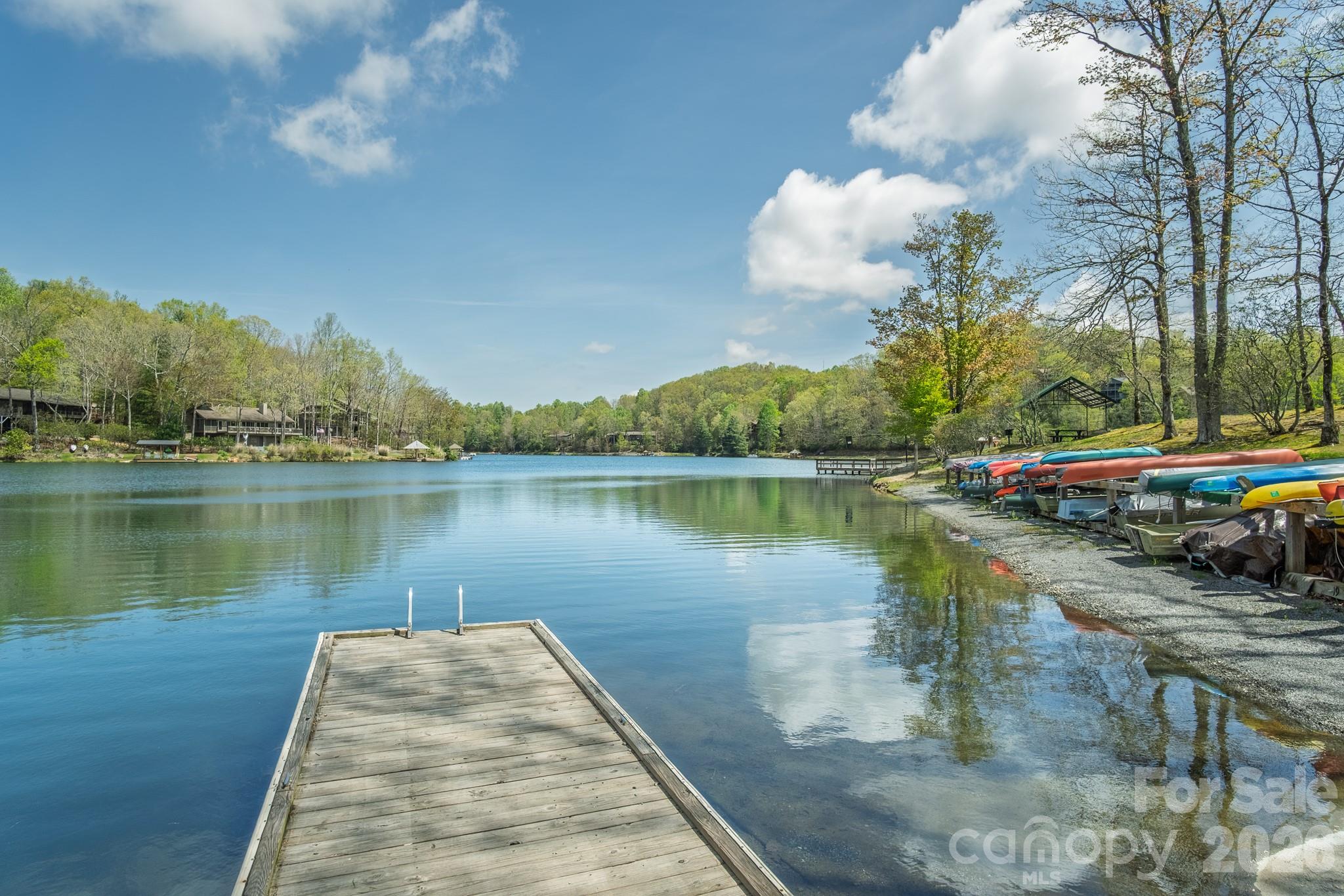 22 Dalonigei Court Brevard NC 28712