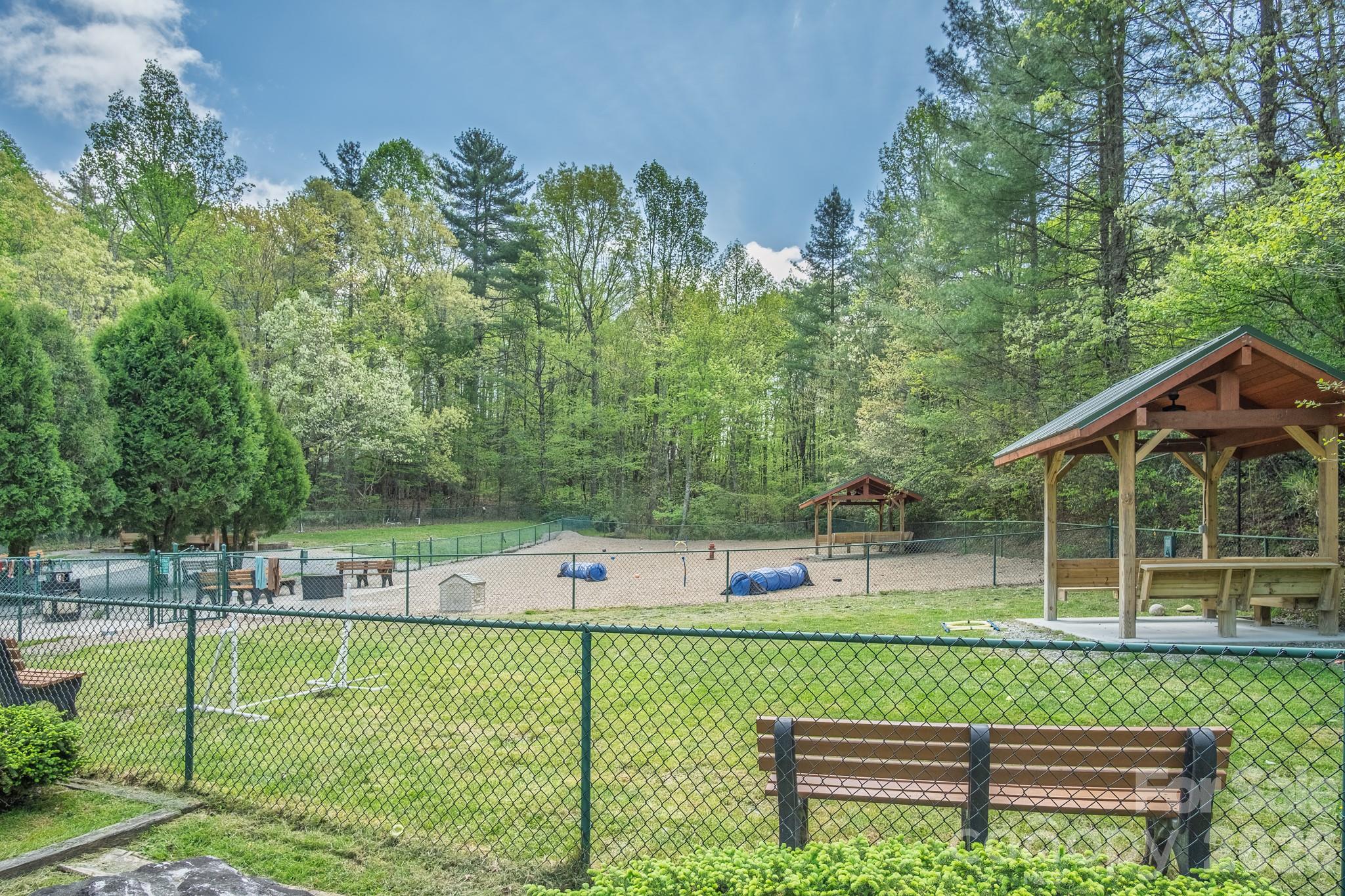 22 Dalonigei Court Brevard NC 28712