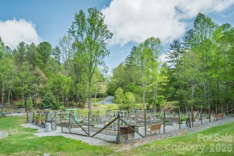 22 Dalonigei Court Brevard NC 28712