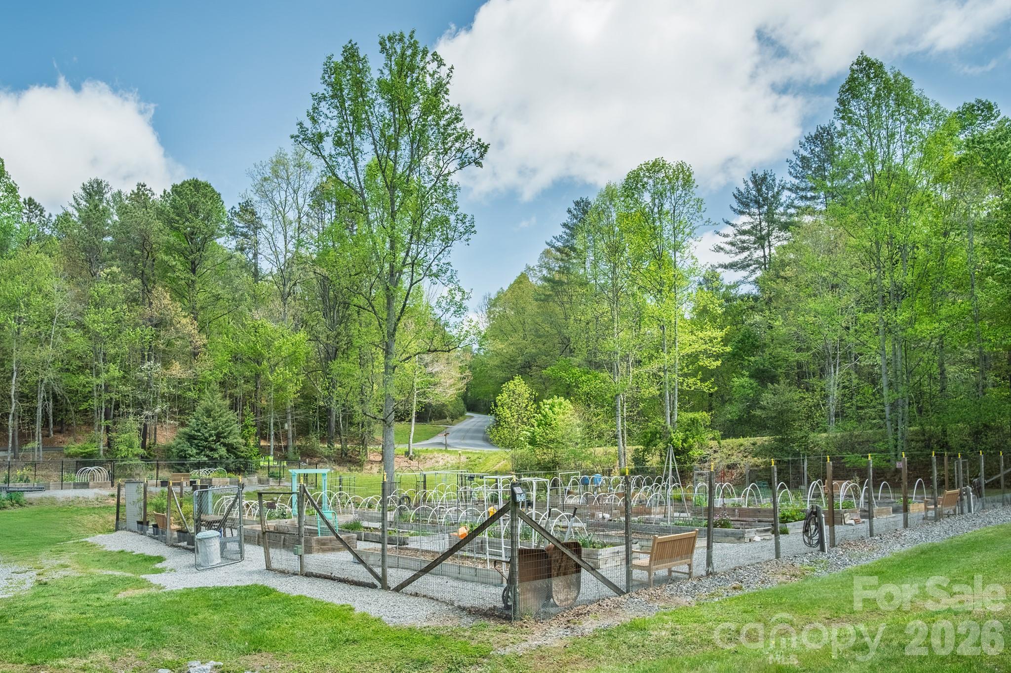 22 Dalonigei Court Brevard NC 28712