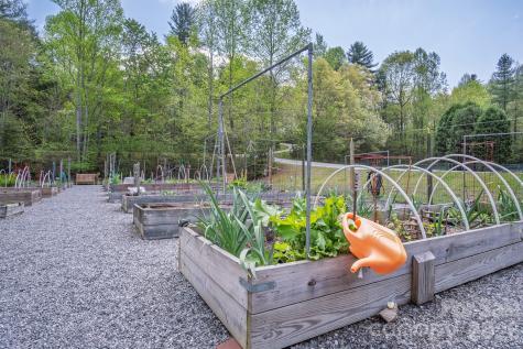 22 Dalonigei Court Brevard NC 28712