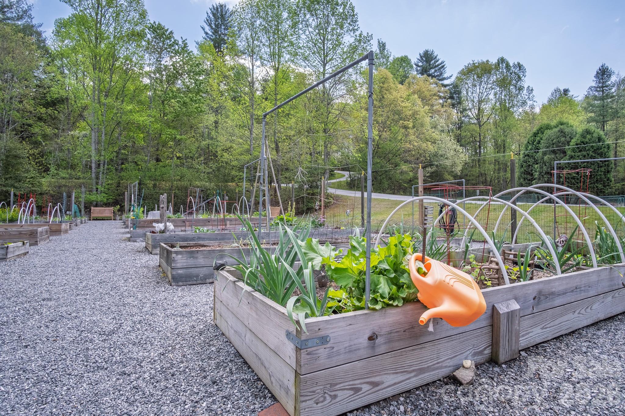 22 Dalonigei Court Brevard NC 28712