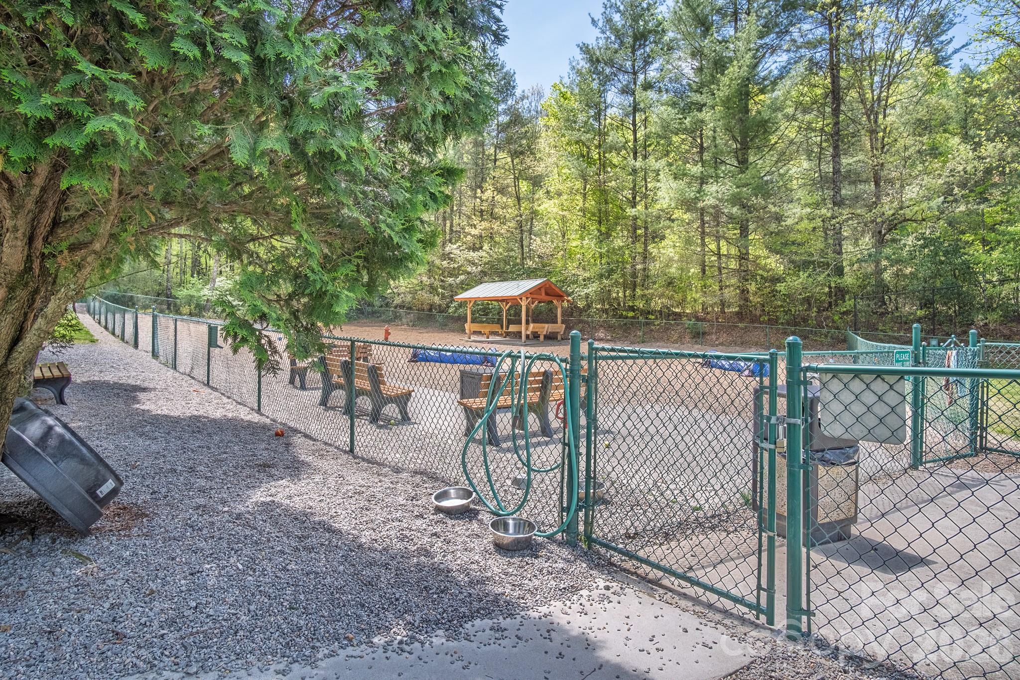 22 Dalonigei Court Brevard NC 28712
