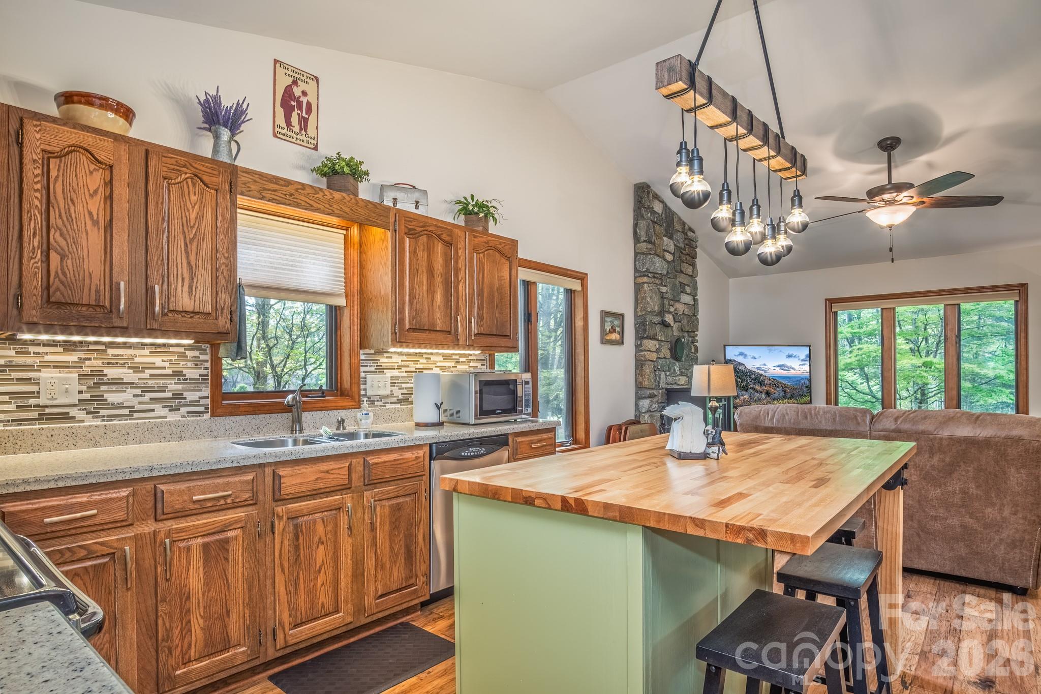 22 Dalonigei Court Brevard NC 28712