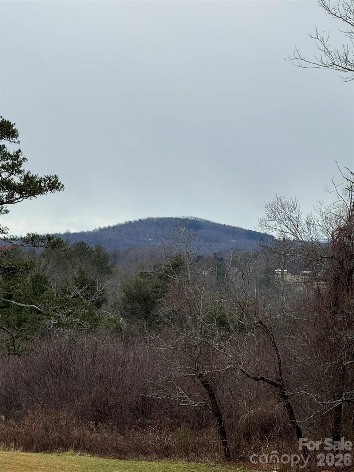 12544 Traphill Road Traphill NC 28685