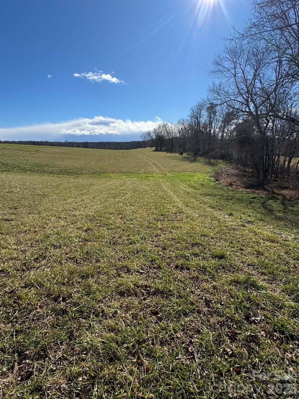 12544 Traphill Road Traphill NC 28685