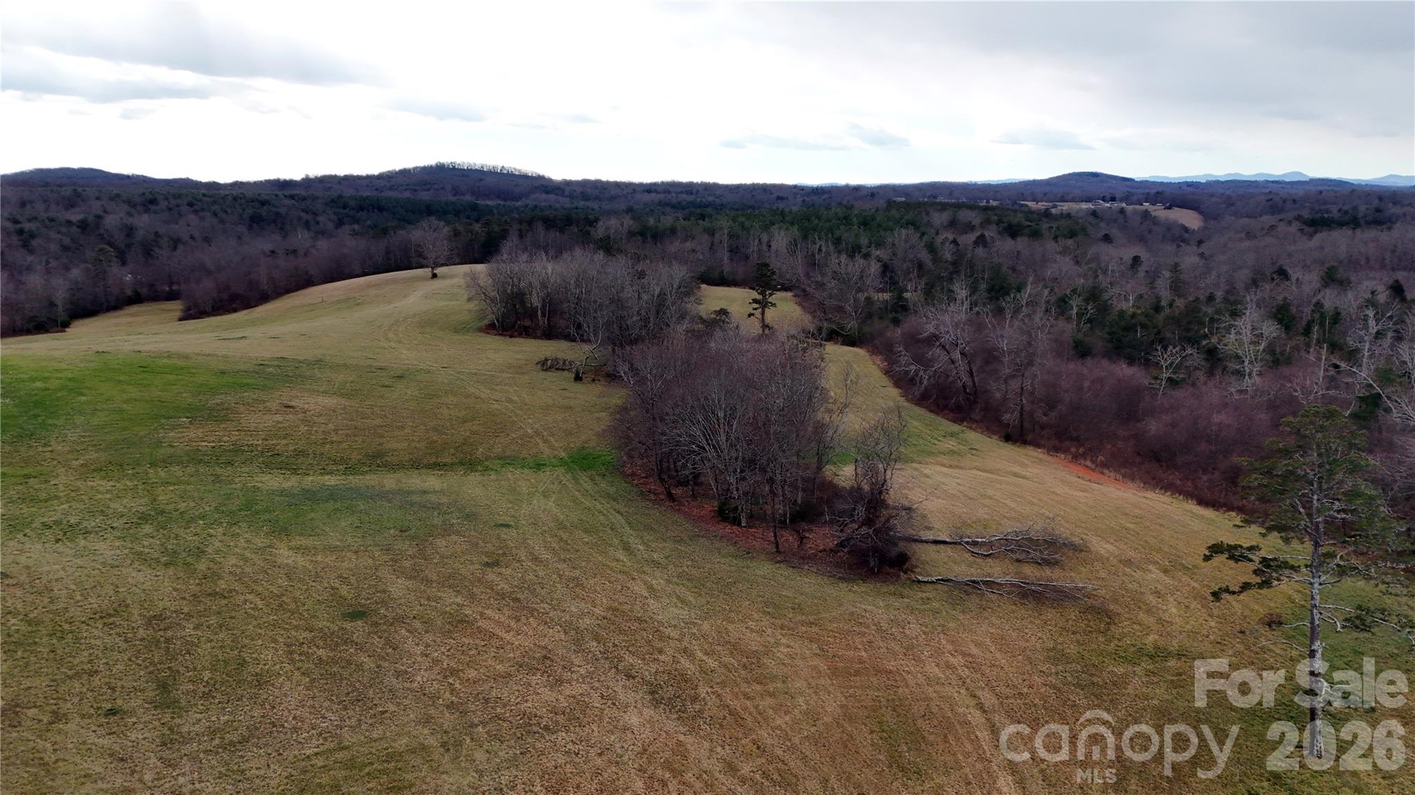 12544 Traphill Road Traphill NC 28685
