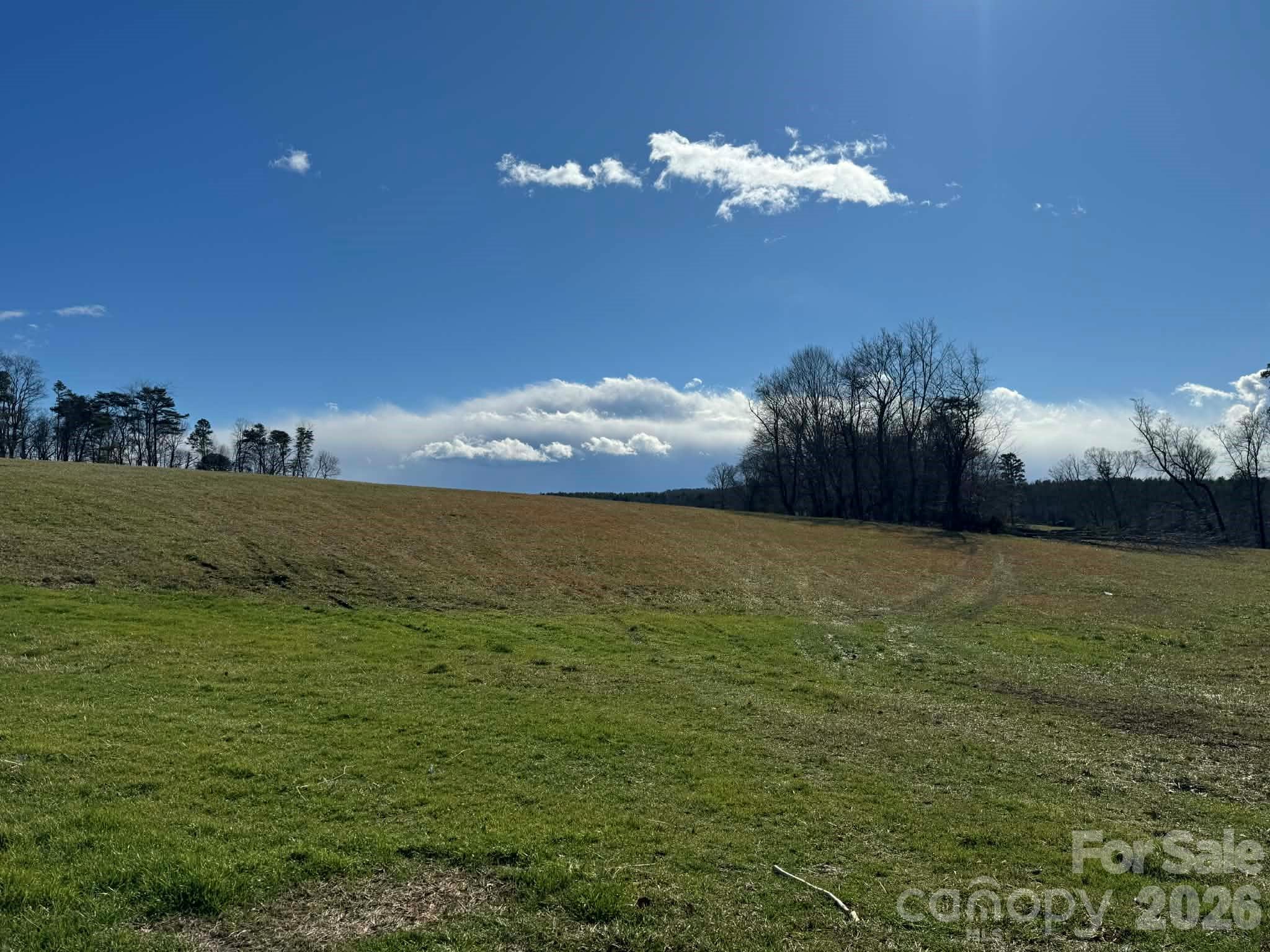 12544 Traphill Road Traphill NC 28685