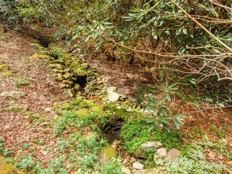 70 Fox Run Hot Springs NC 28743