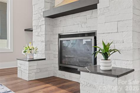 254 Triple Ponds Court Clover SC 29710