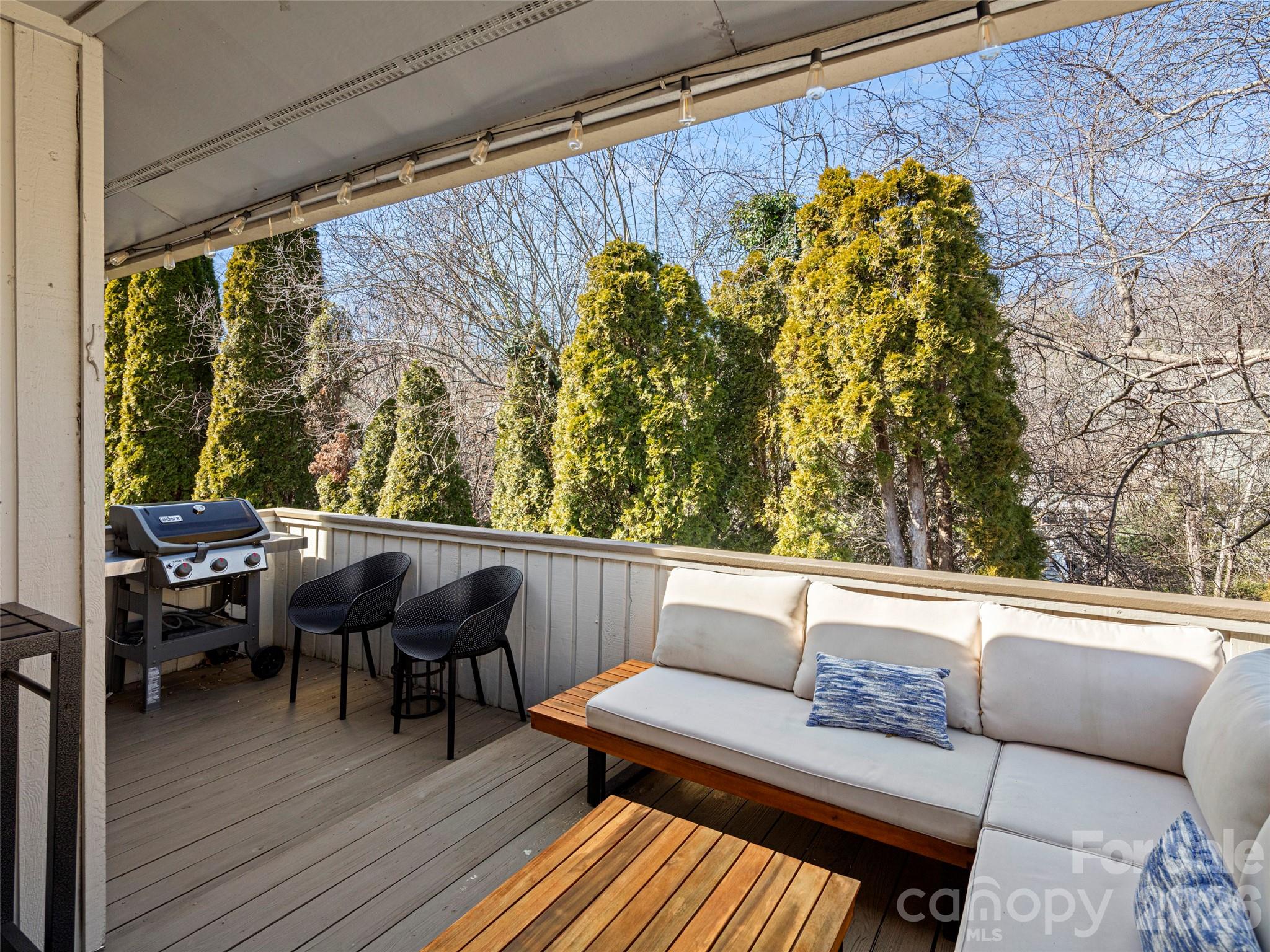 120 Deerlake Drive Asheville NC 28803