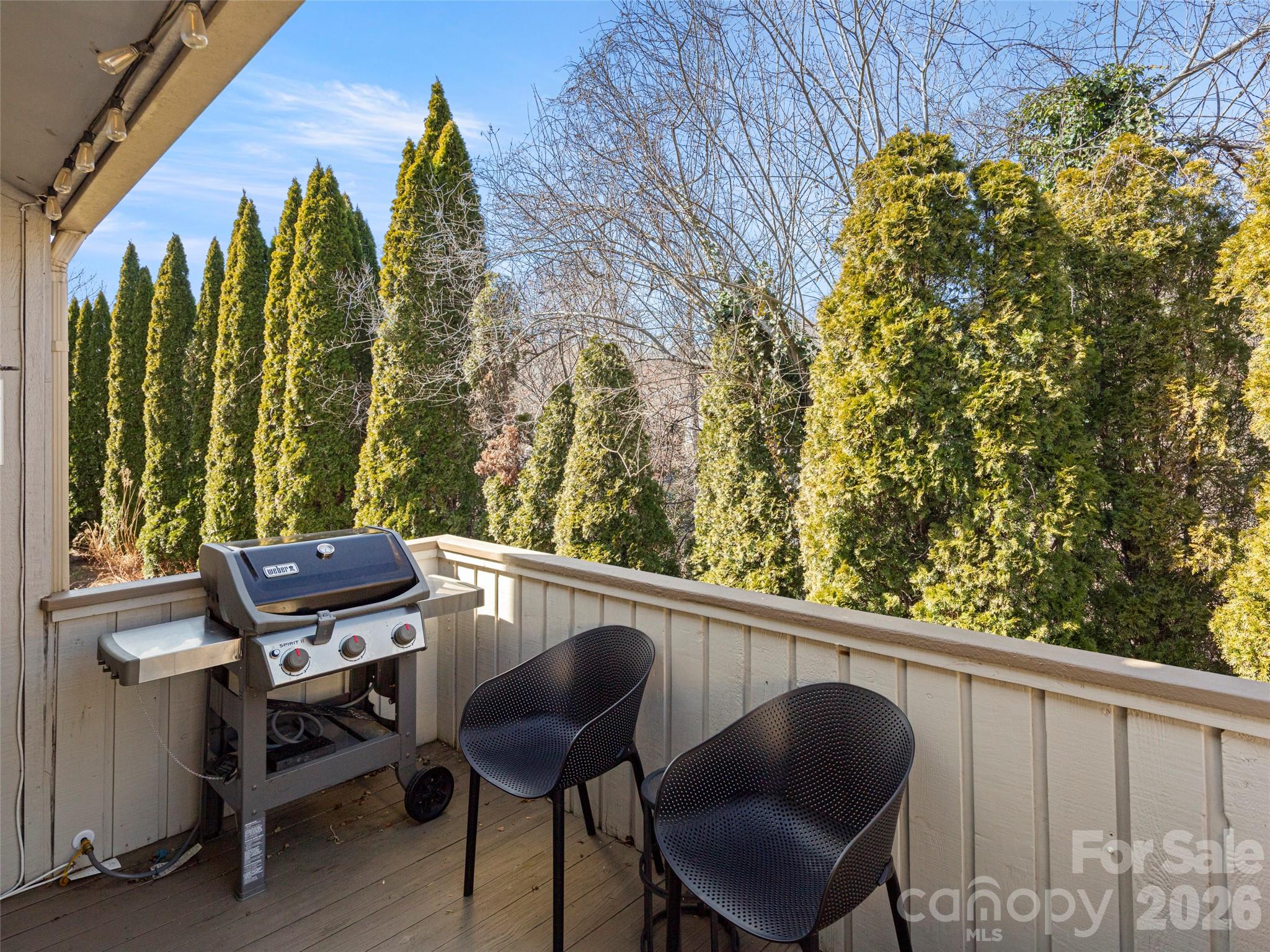 120 Deerlake Drive Asheville NC 28803