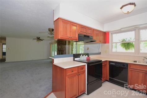 88 Botany Drive Asheville NC 28805