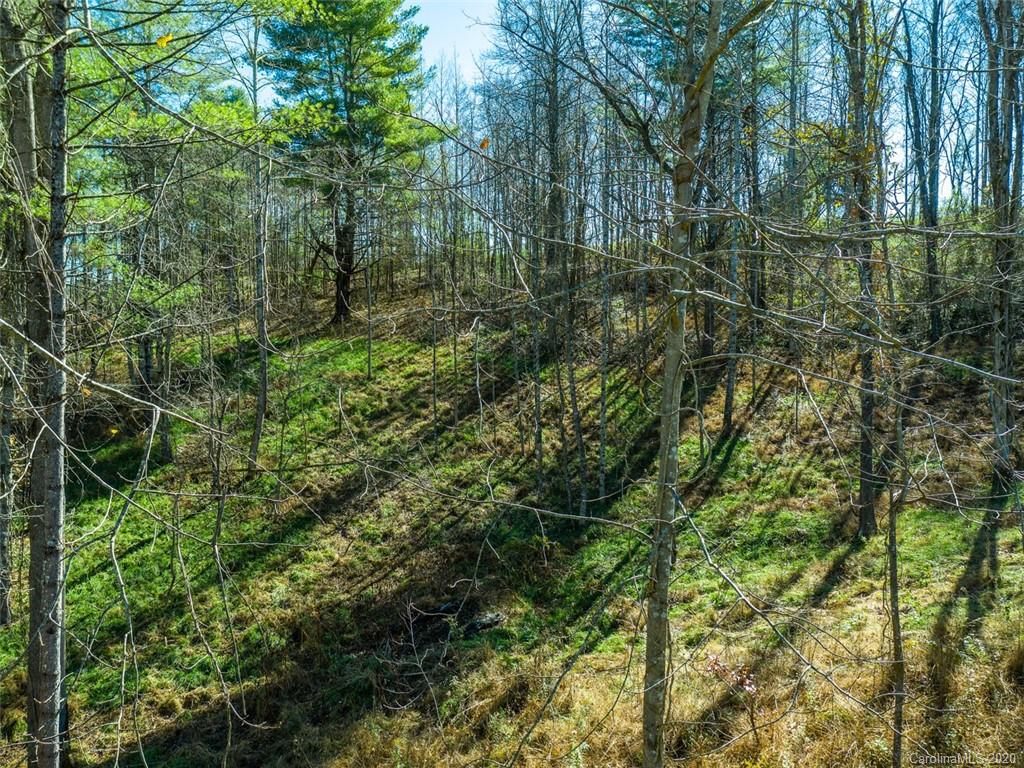 2705 Bear Creek Road Marshall NC 28753