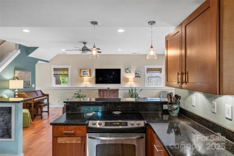 15 Forsythe Street Asheville NC 28801