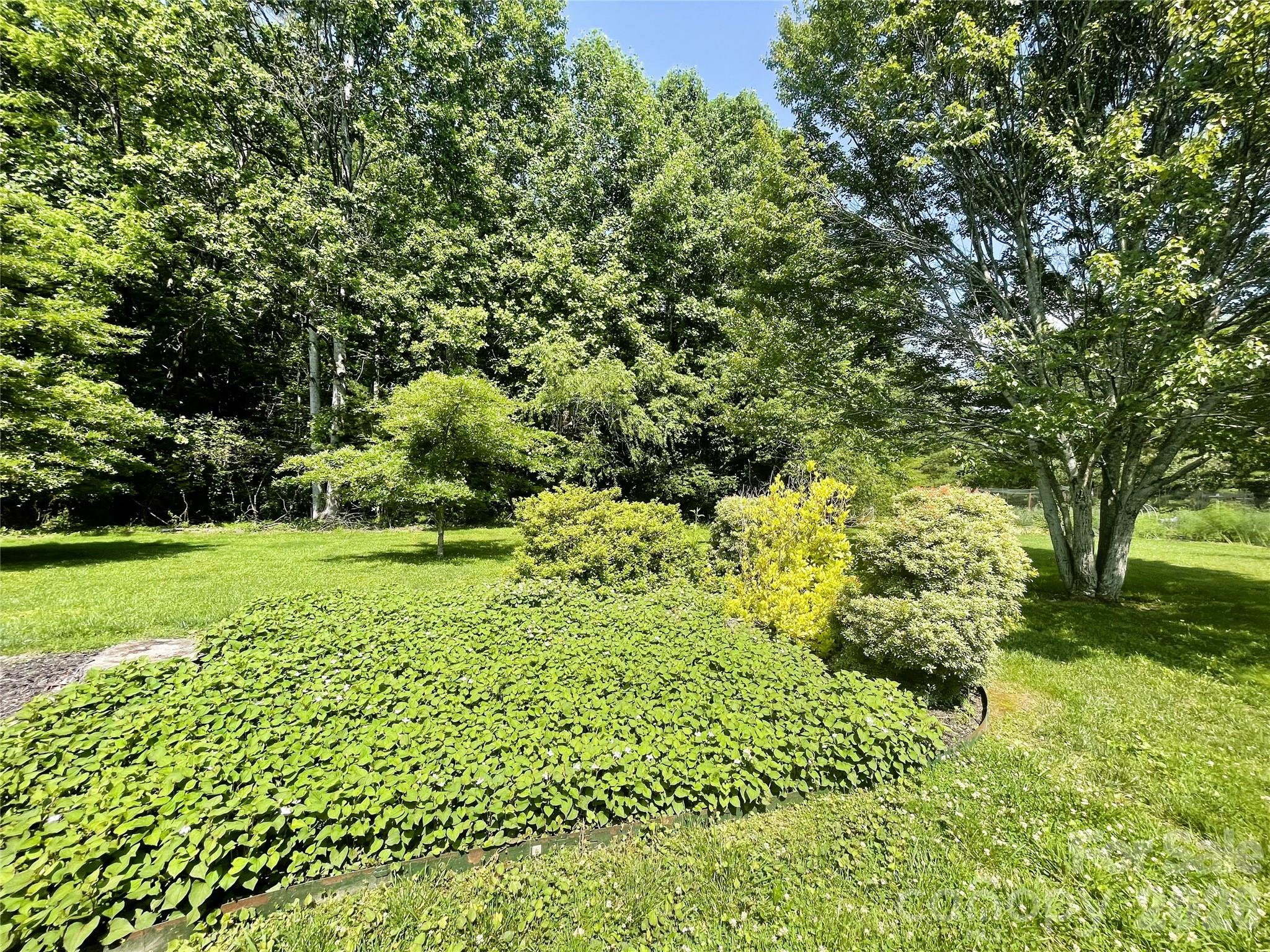 35 Sheffield Place Brevard NC 28712