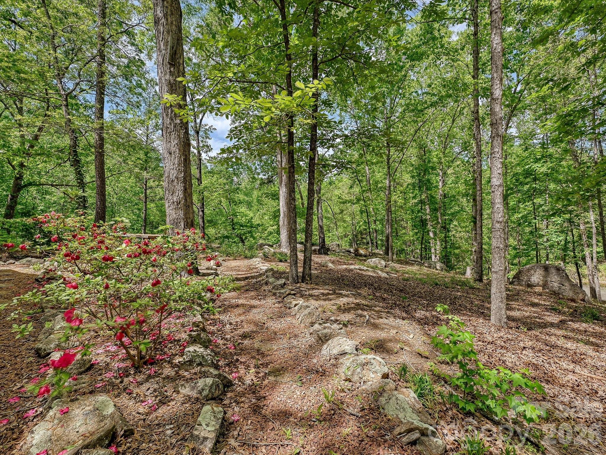 6012 Rehobeth Road Waxhaw NC 28173