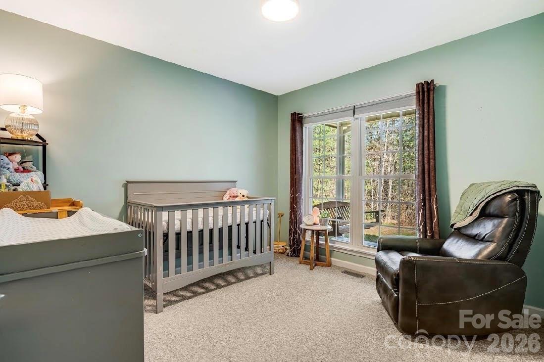 348 Big Raven Lane Saluda NC 28773