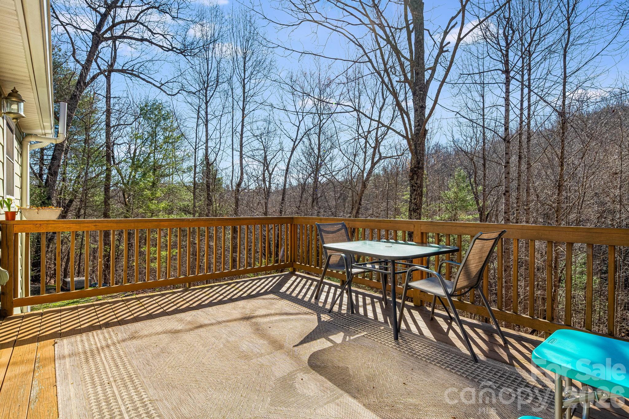 348 Big Raven Lane Saluda NC 28773