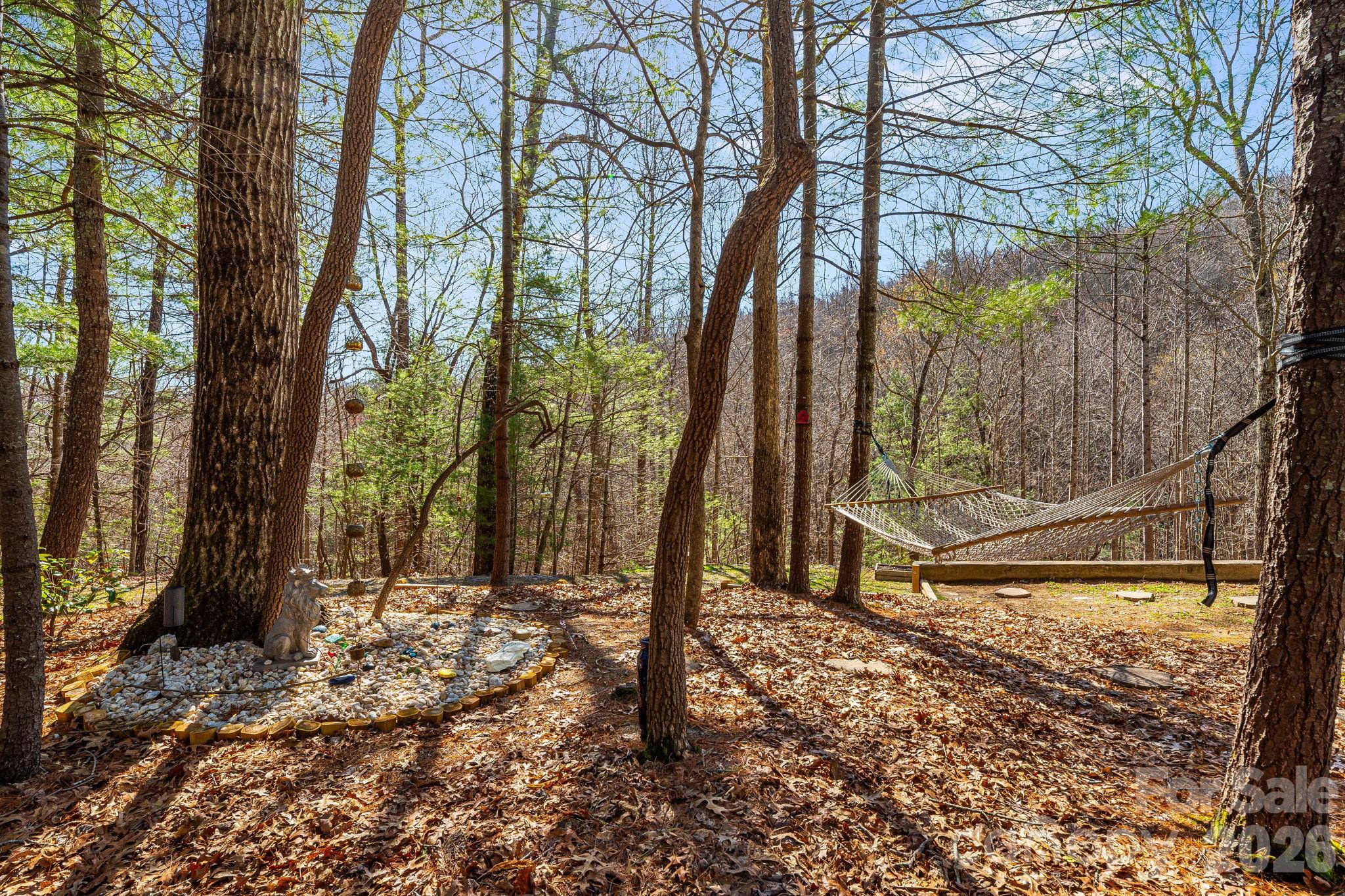 348 Big Raven Lane Saluda NC 28773