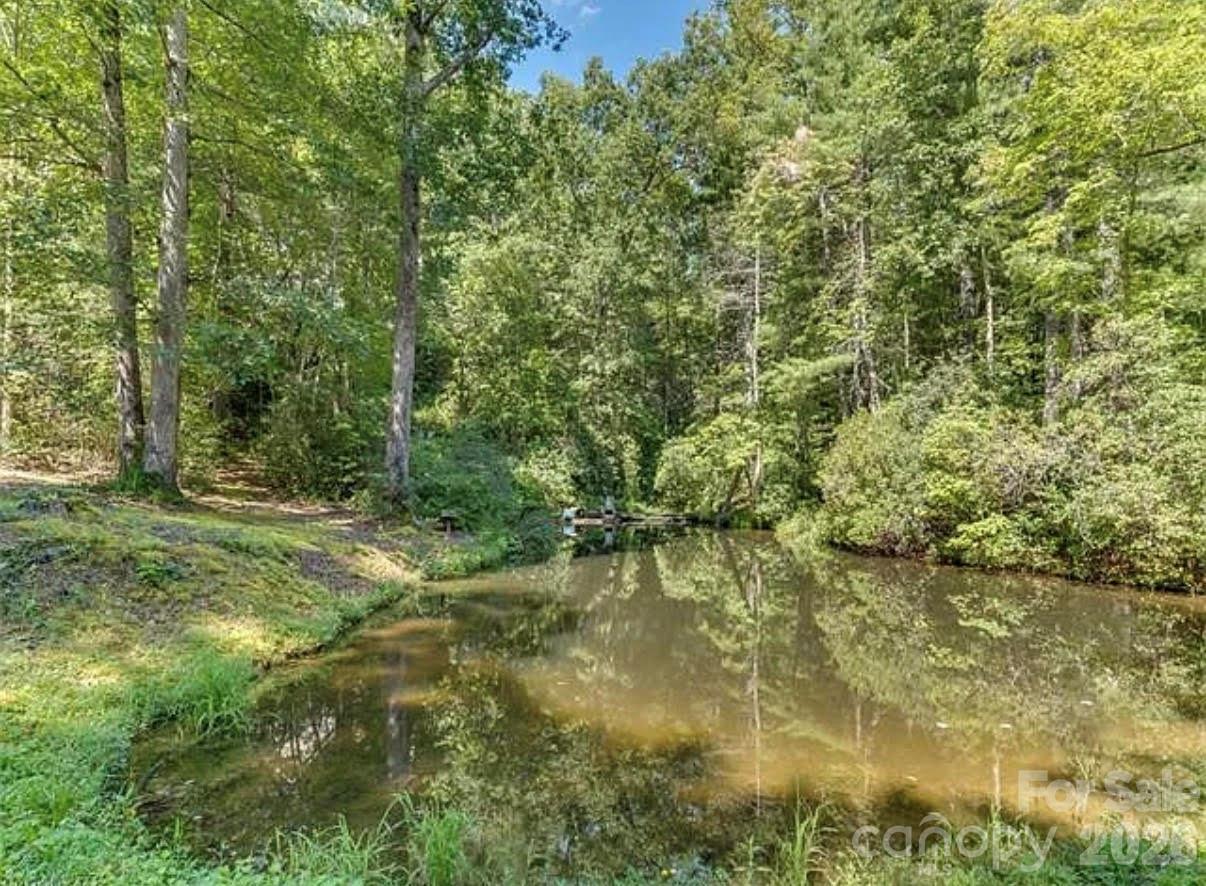 348 Big Raven Lane Saluda NC 28773