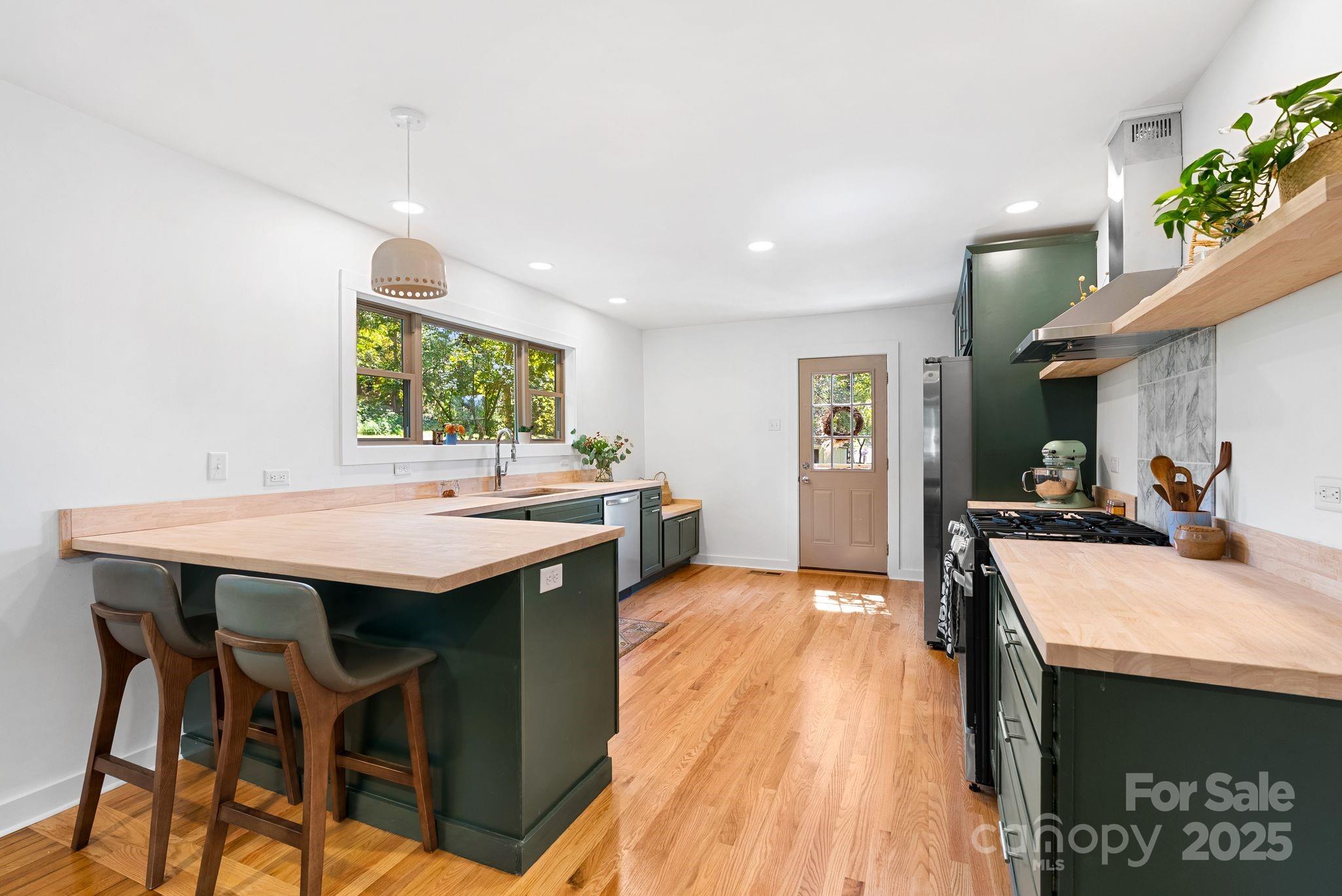 19 Irving Street Asheville NC 28804