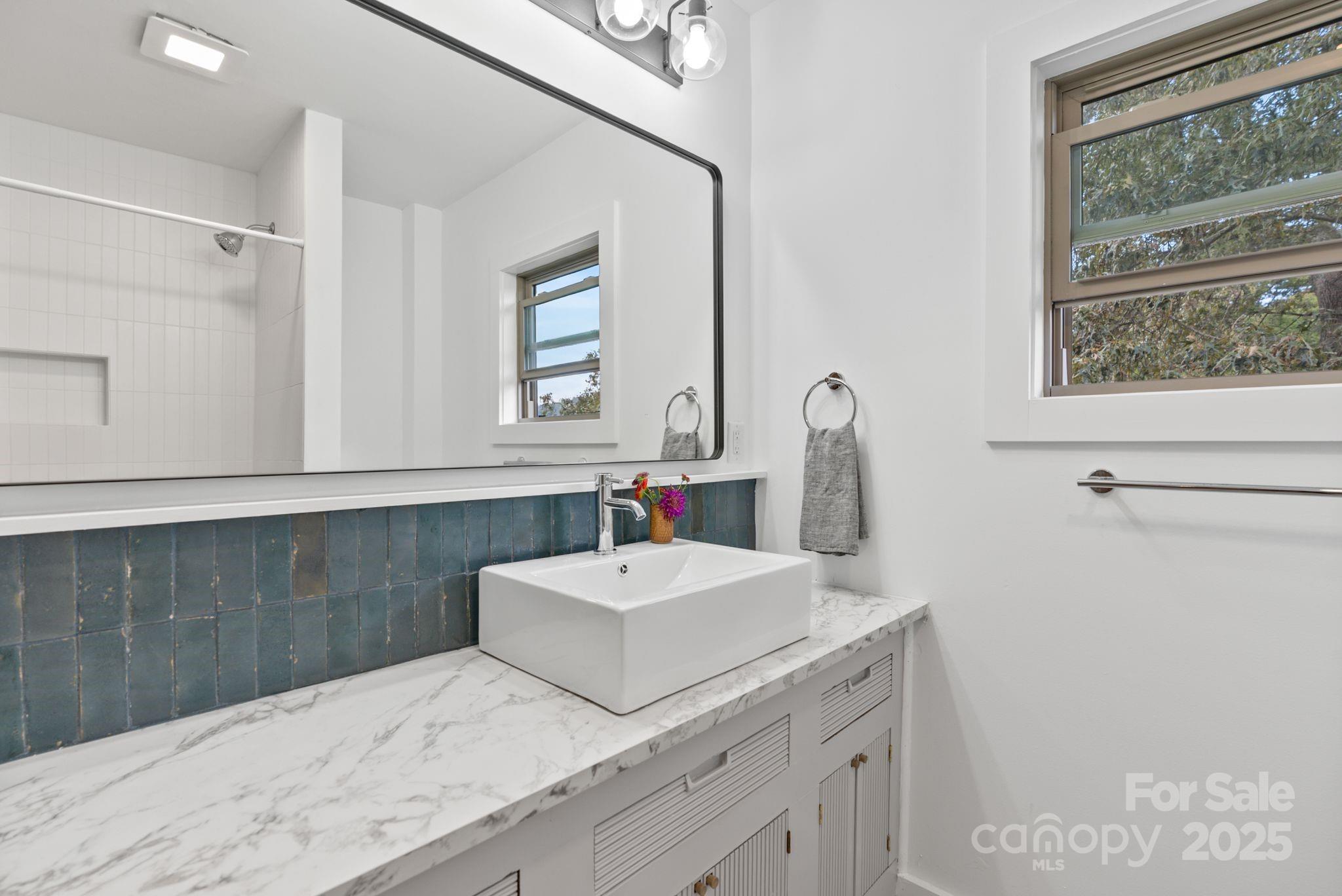 19 Irving Street Asheville NC 28804