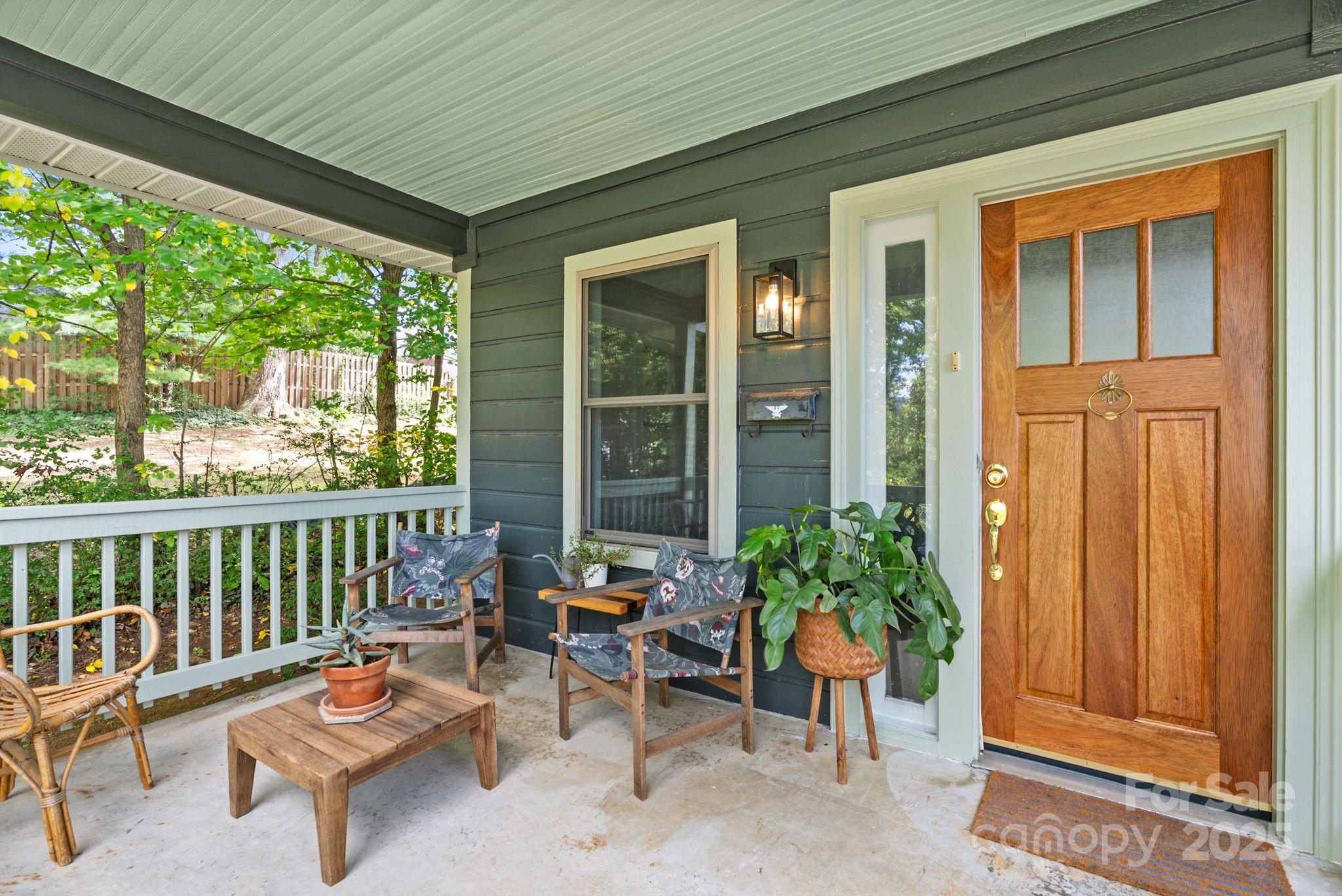 19 Irving Street Asheville NC 28804