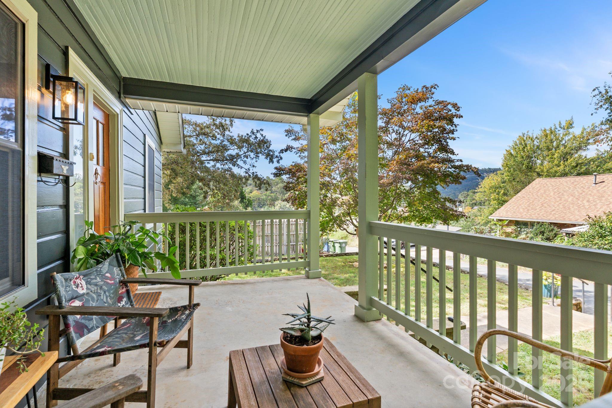 19 Irving Street Asheville NC 28804