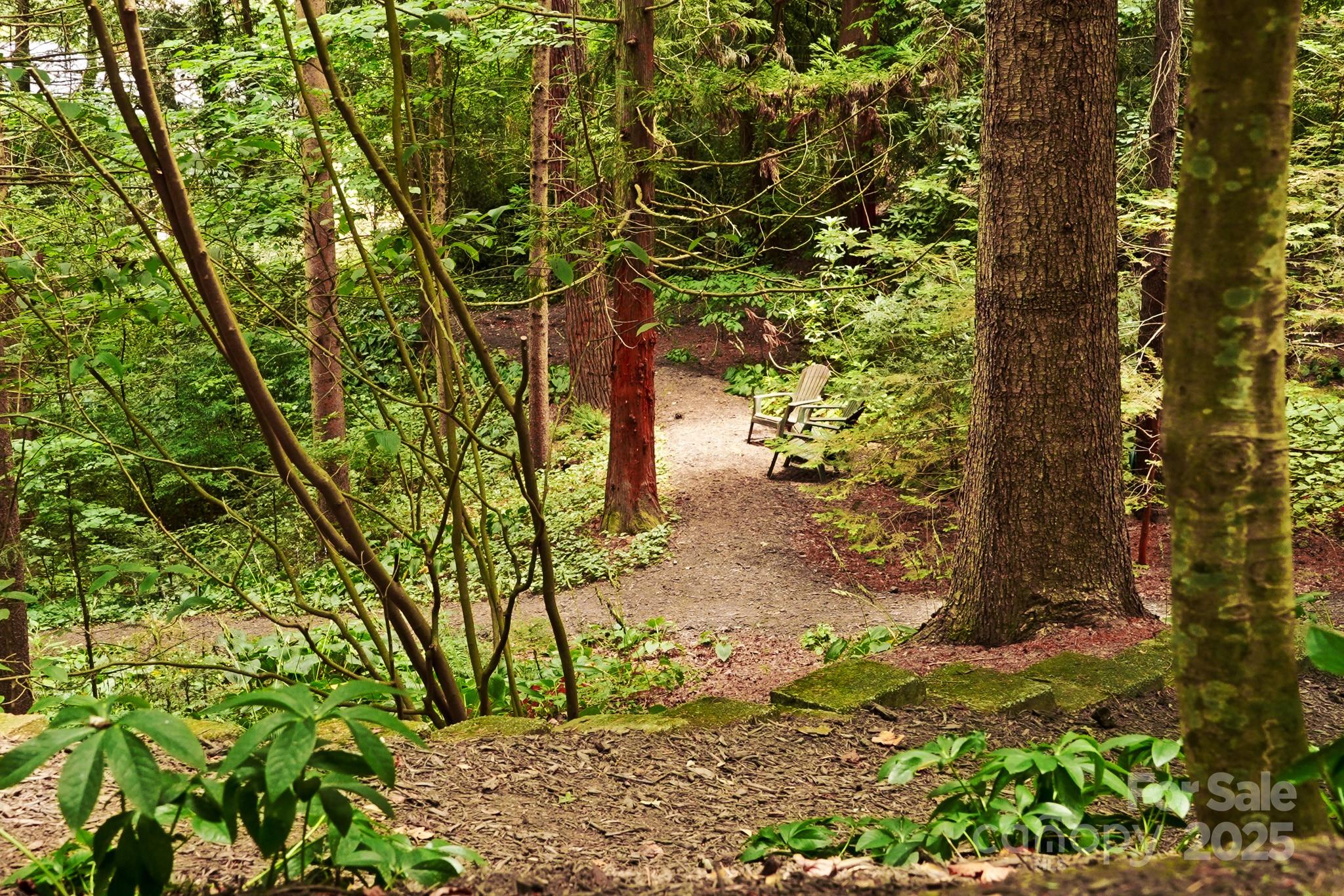 108 Lakewood Drive Asheville NC 28803