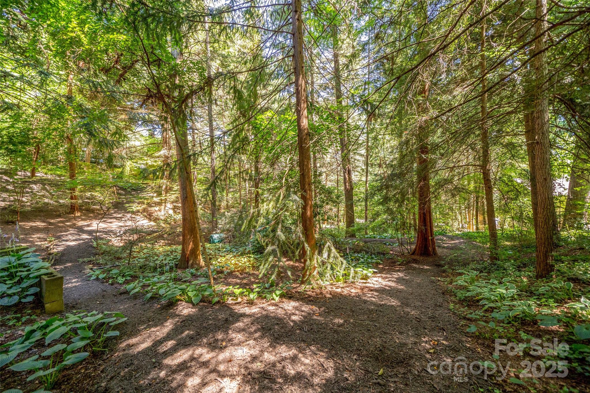 108 Lakewood Drive Asheville NC 28803