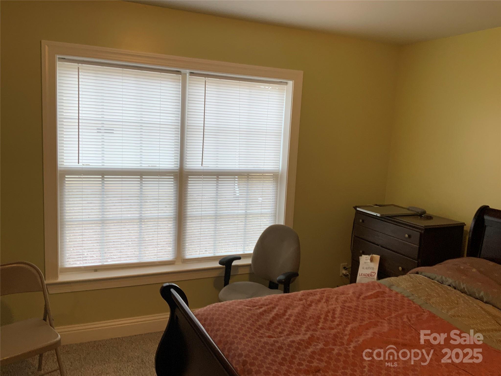 7 Chapel Park Place Asheville NC 28803