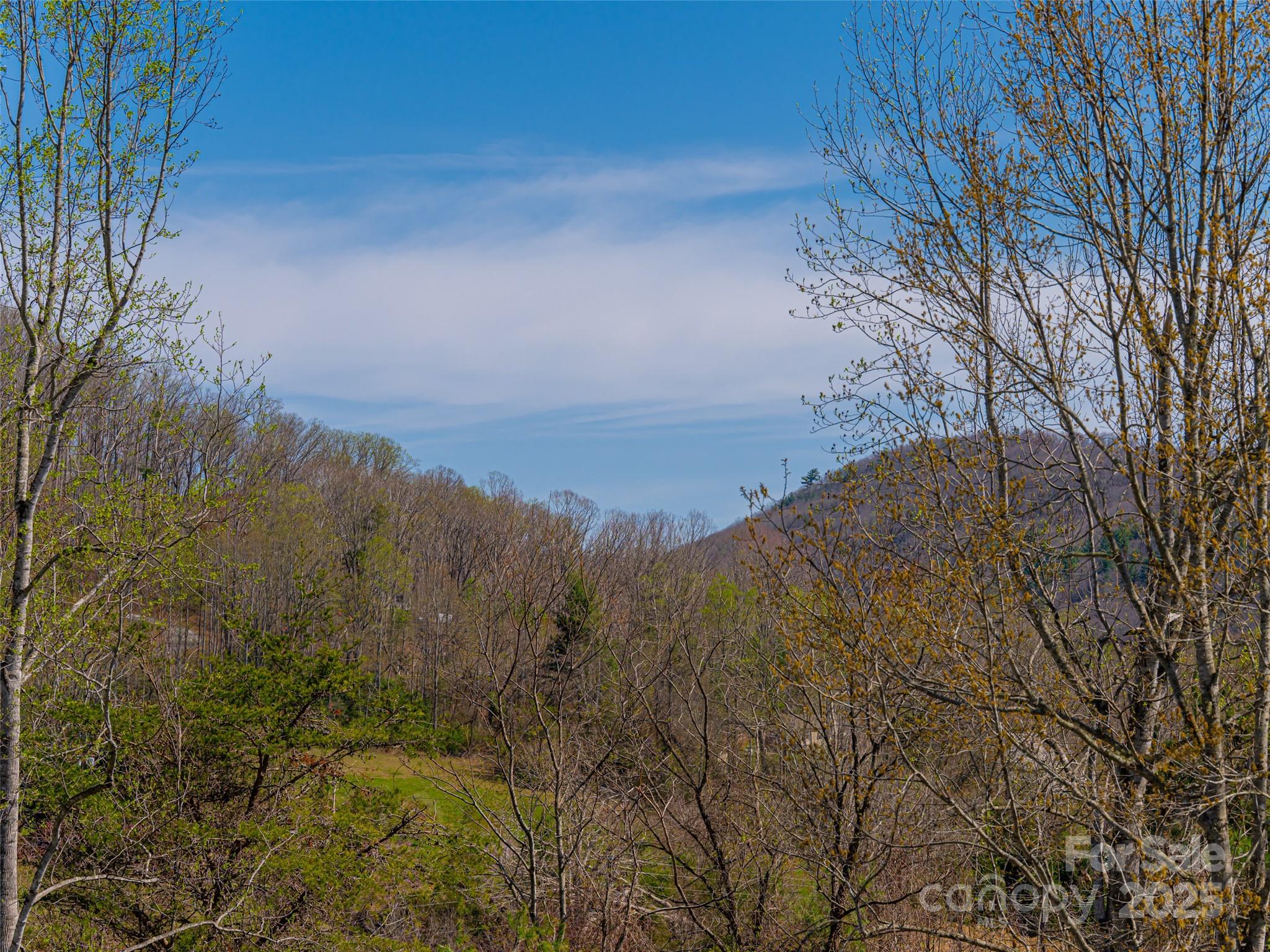 102 Silverrod Lane Asheville NC 28803