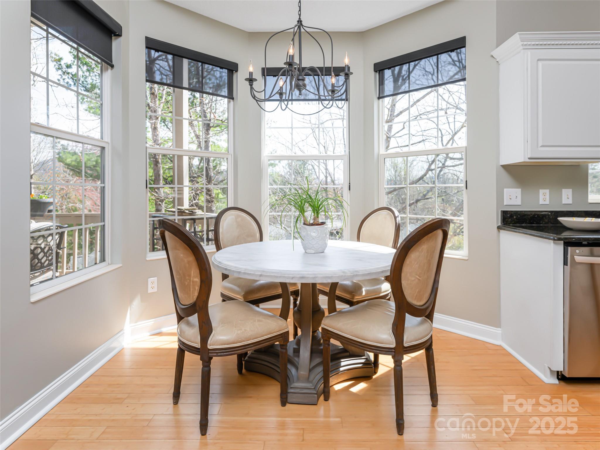 102 Silverrod Lane Asheville NC 28803