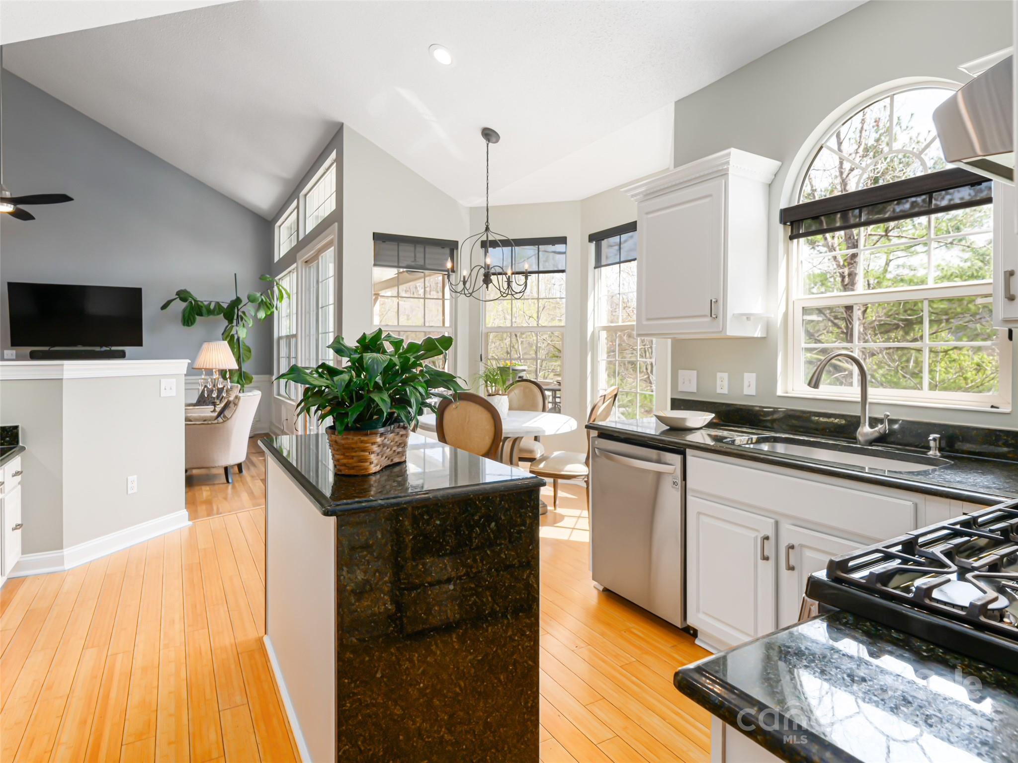 102 Silverrod Lane Asheville NC 28803