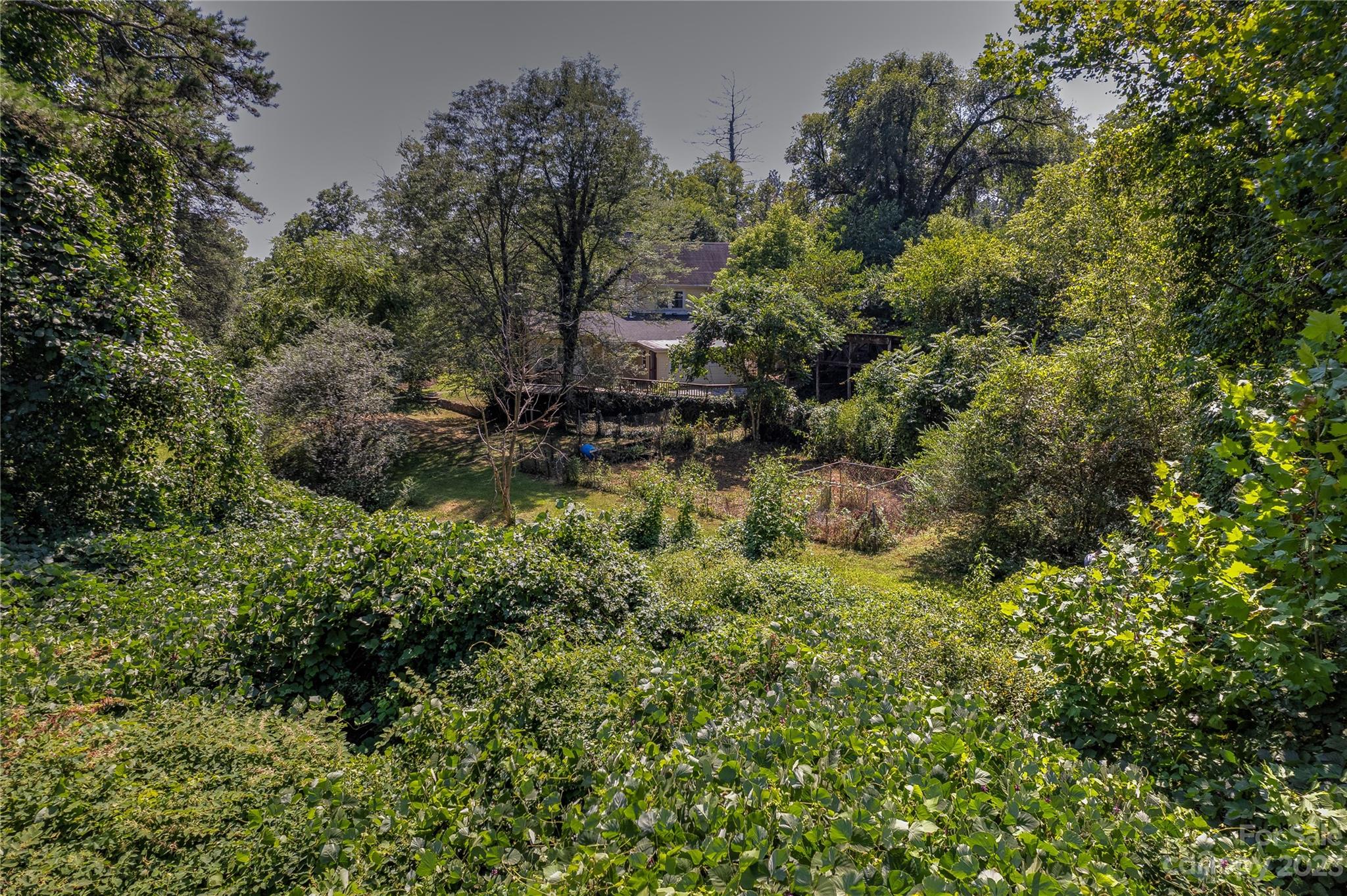 655 New Haw Creek Road Asheville NC 28805