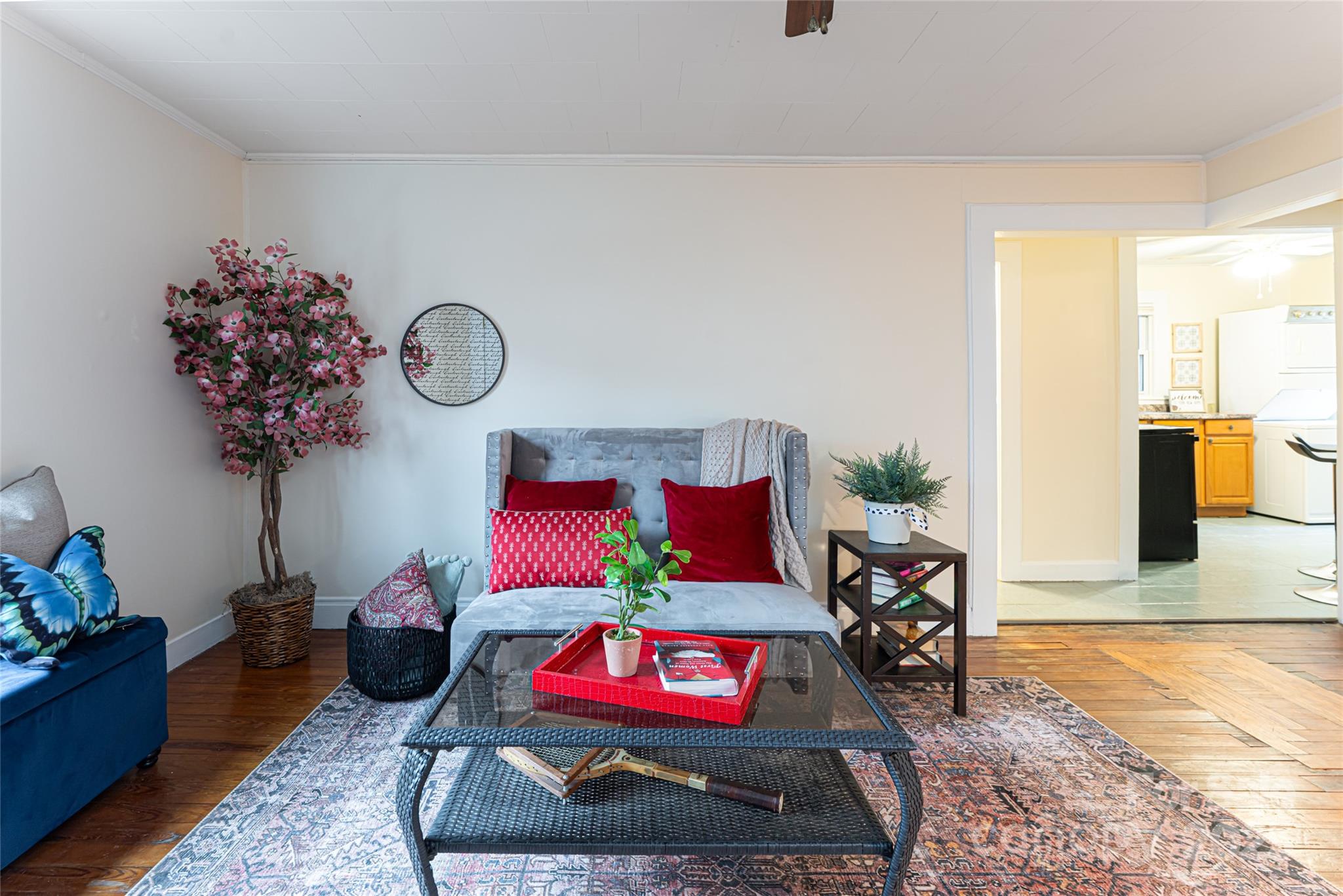 714.5 Reed Street Asheville NC 28803