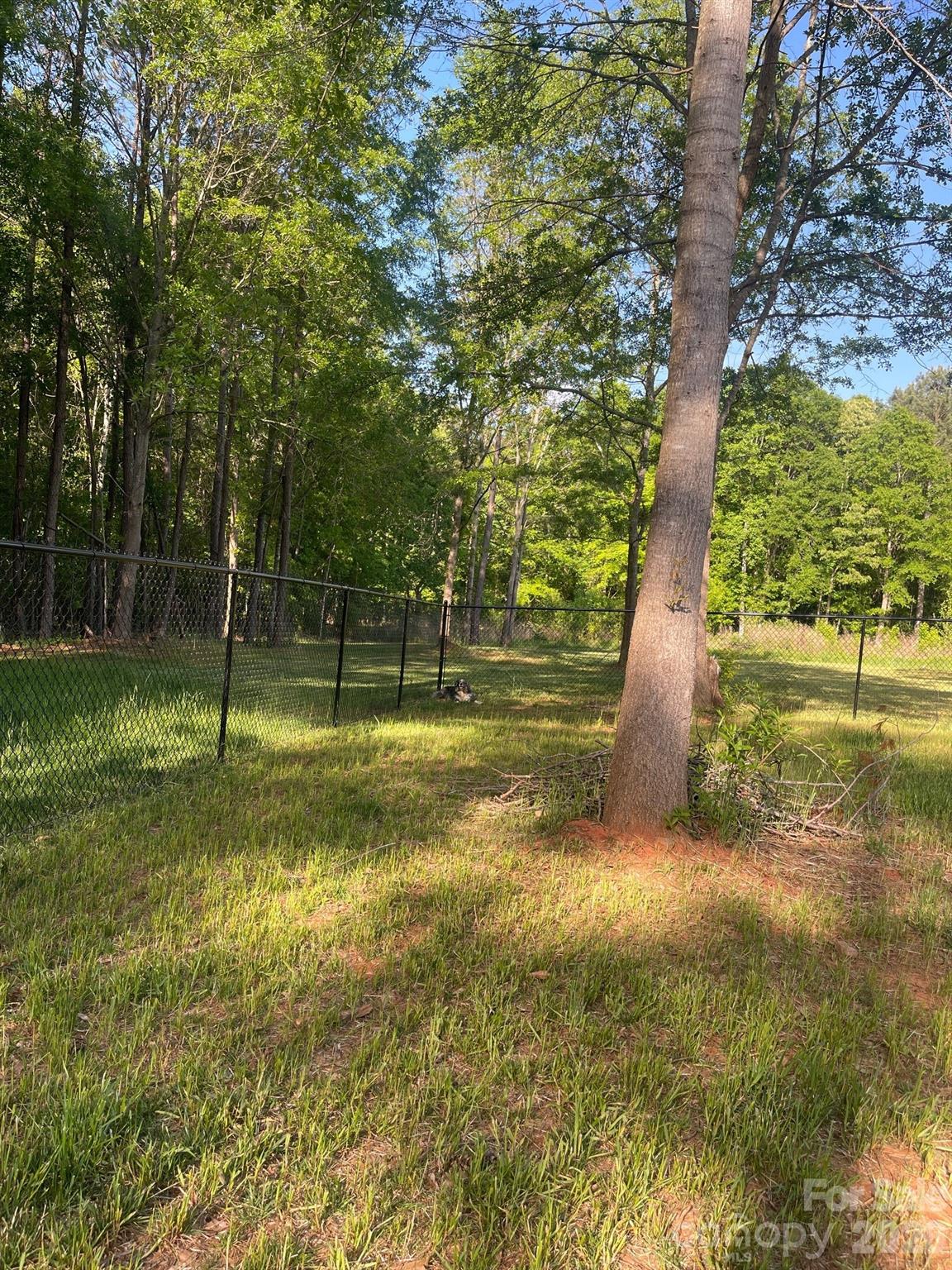 103 Falls Street Lawndale NC 28090