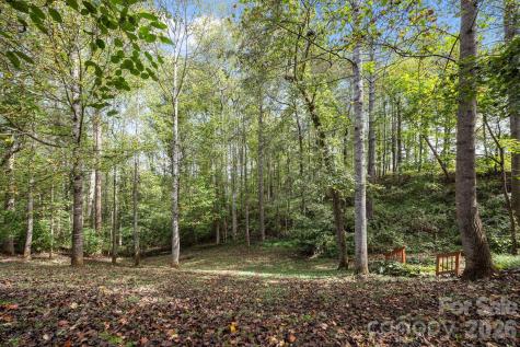 40 Mountain Shadows Drive Leicester NC 28748