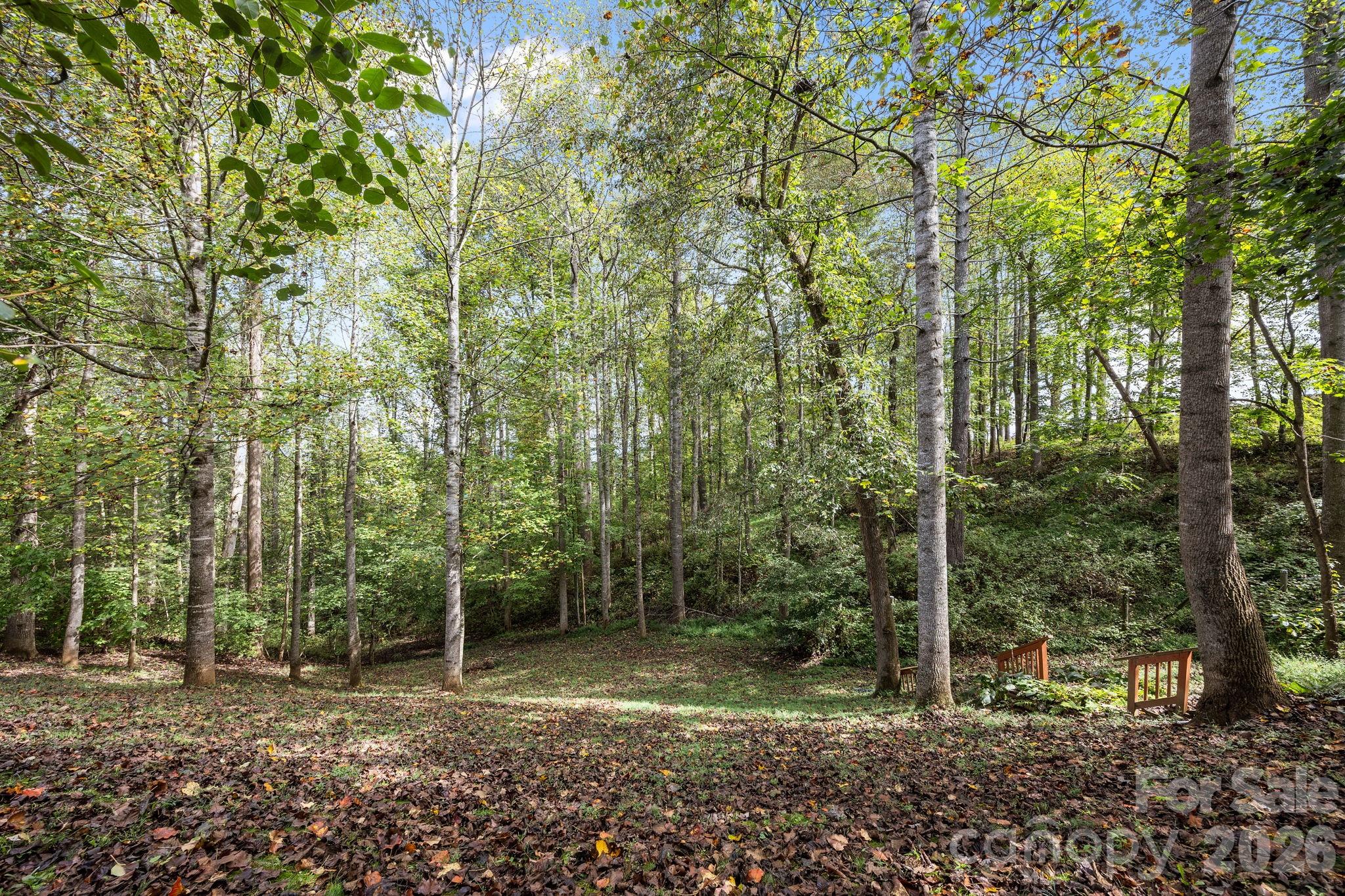 40 Mountain Shadows Drive Leicester NC 28748