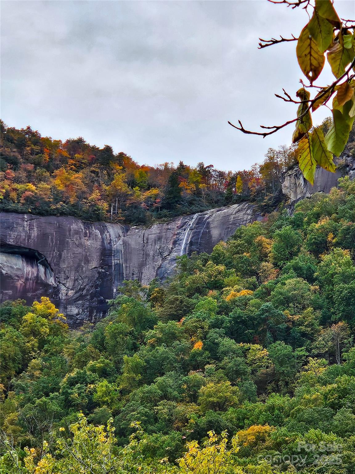 712 Main Street Chimney Rock NC 28720