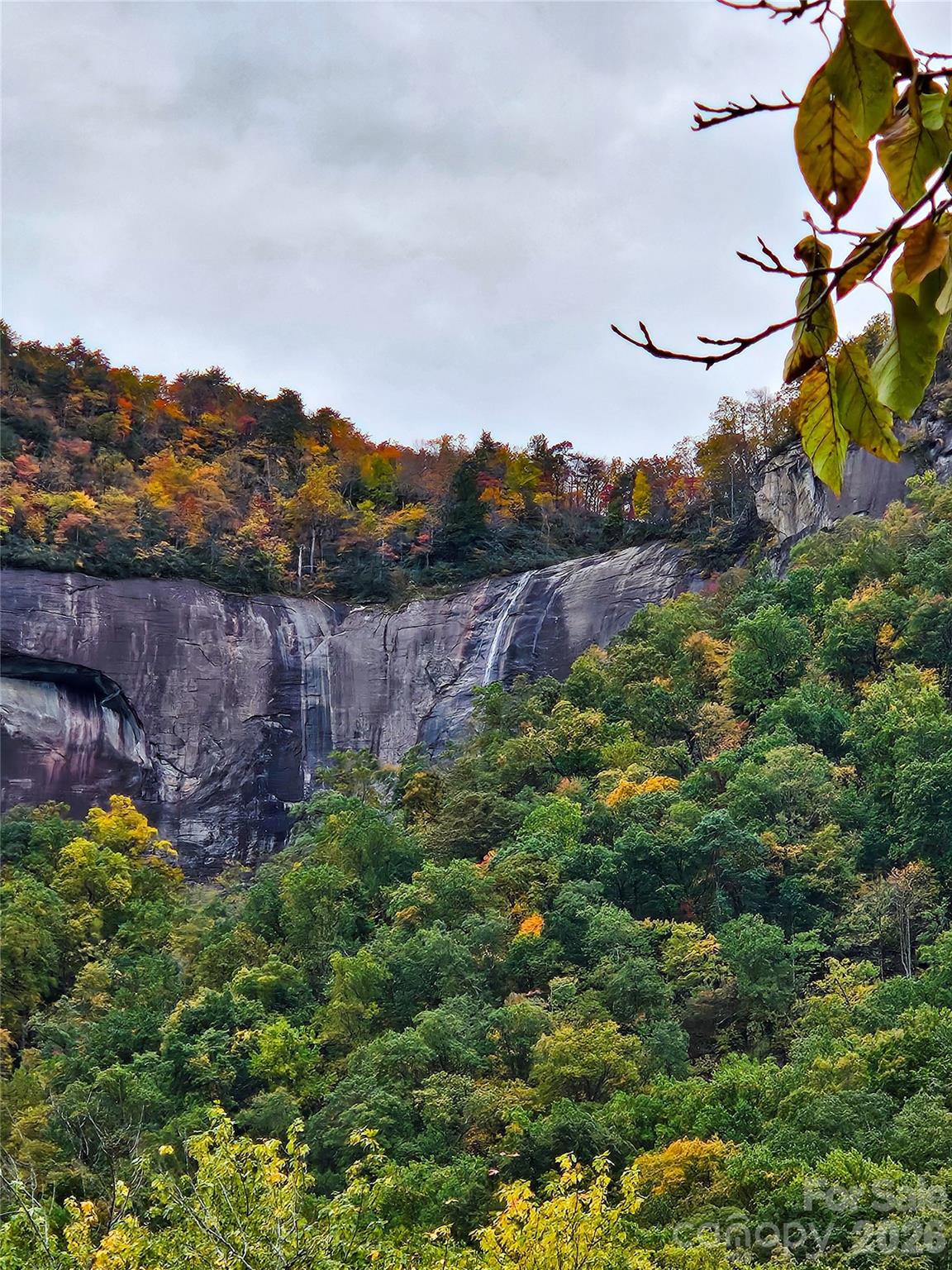 712 Main Street Chimney Rock NC 28720