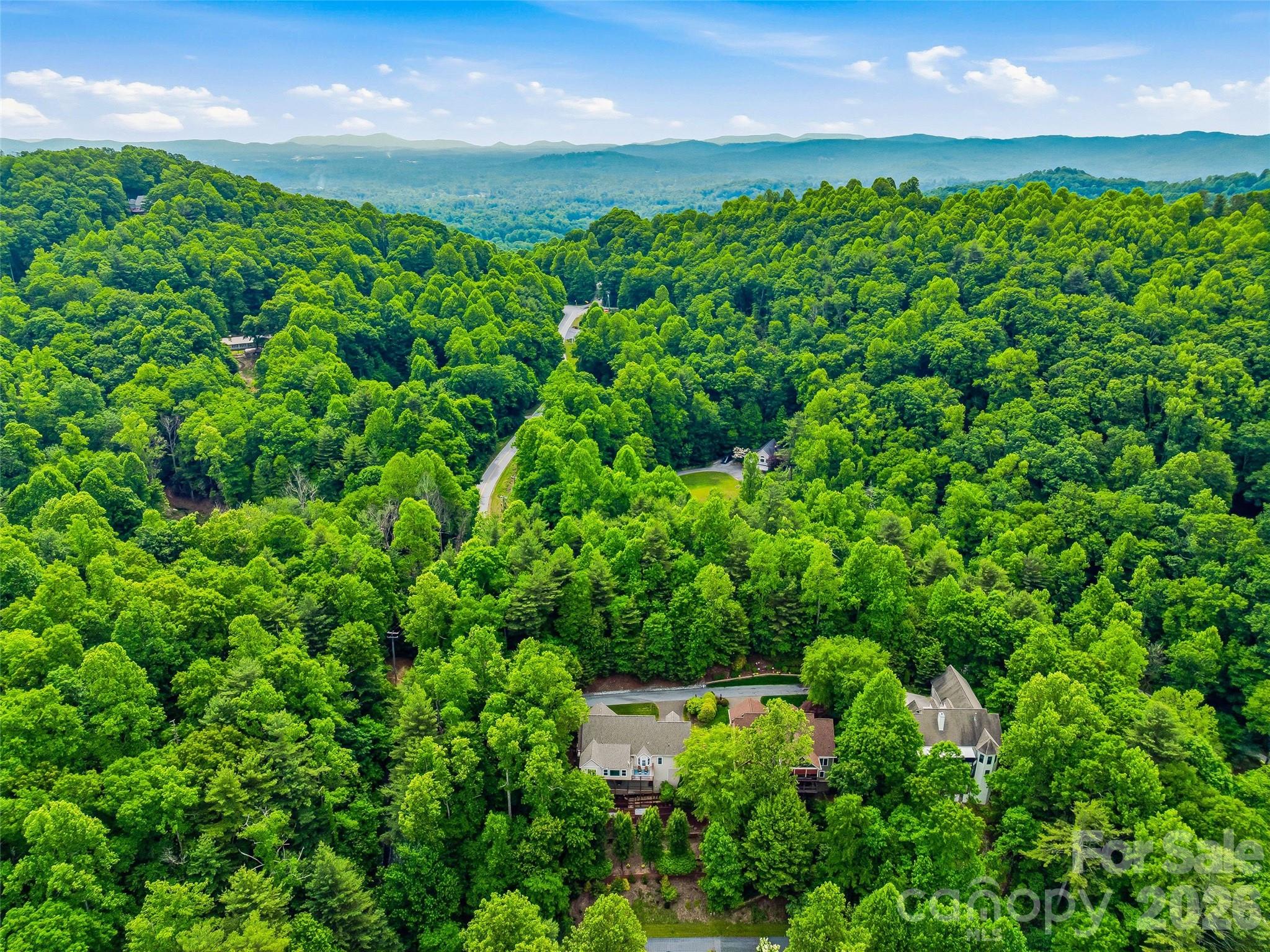115 Flameleaf Lane Laurel Park NC 28739