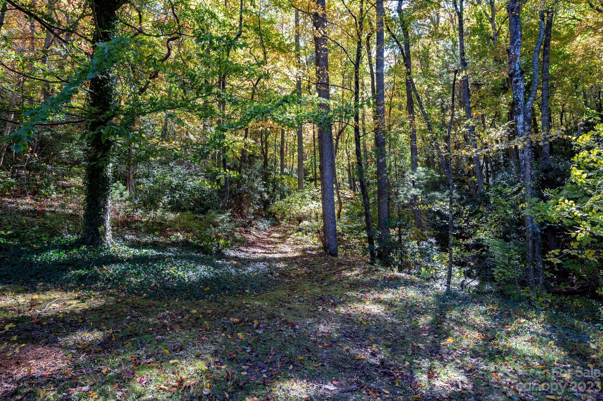 95 Shope Creek Road Asheville NC 28805