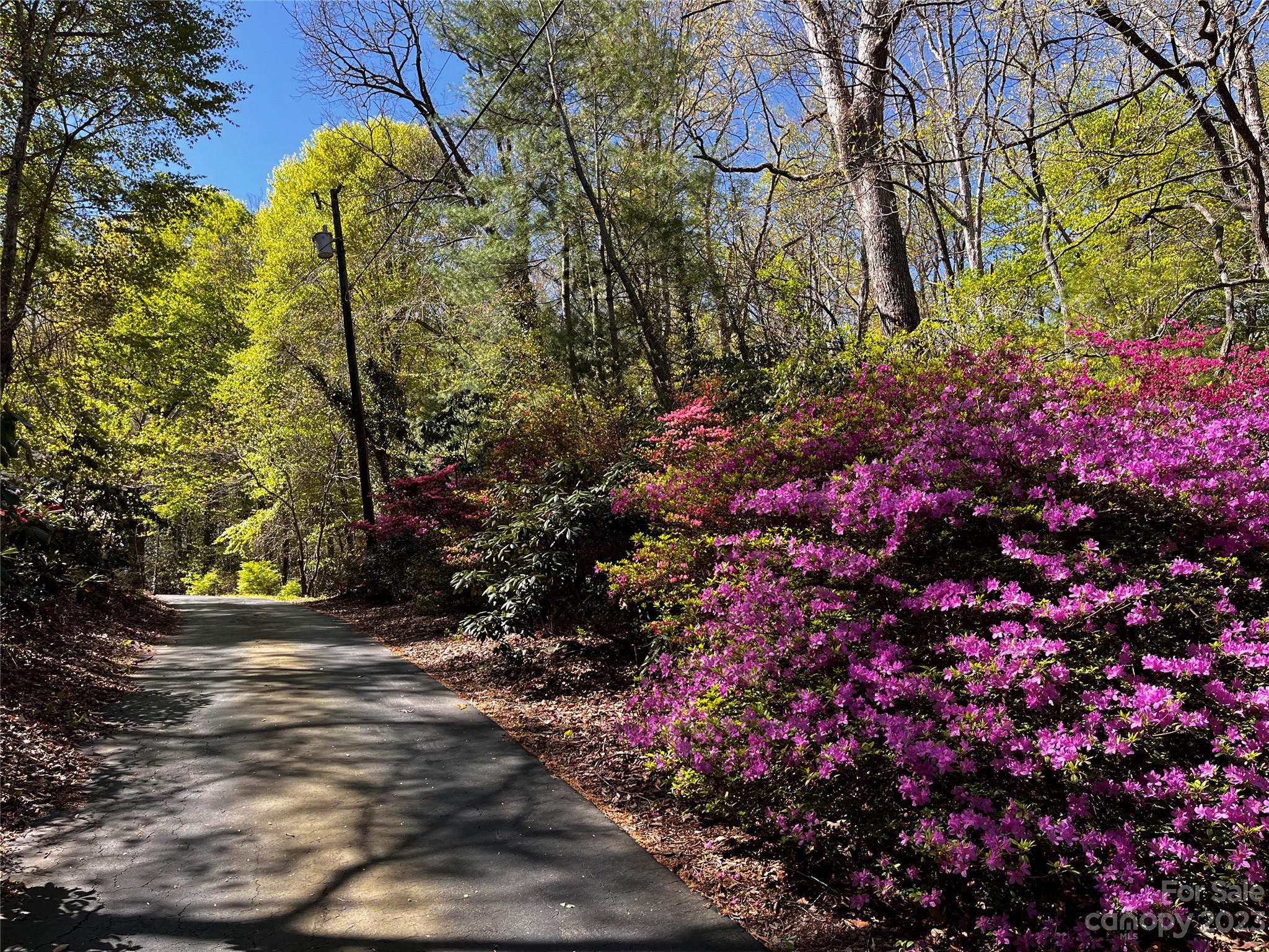 95 Shope Creek Road Asheville NC 28805