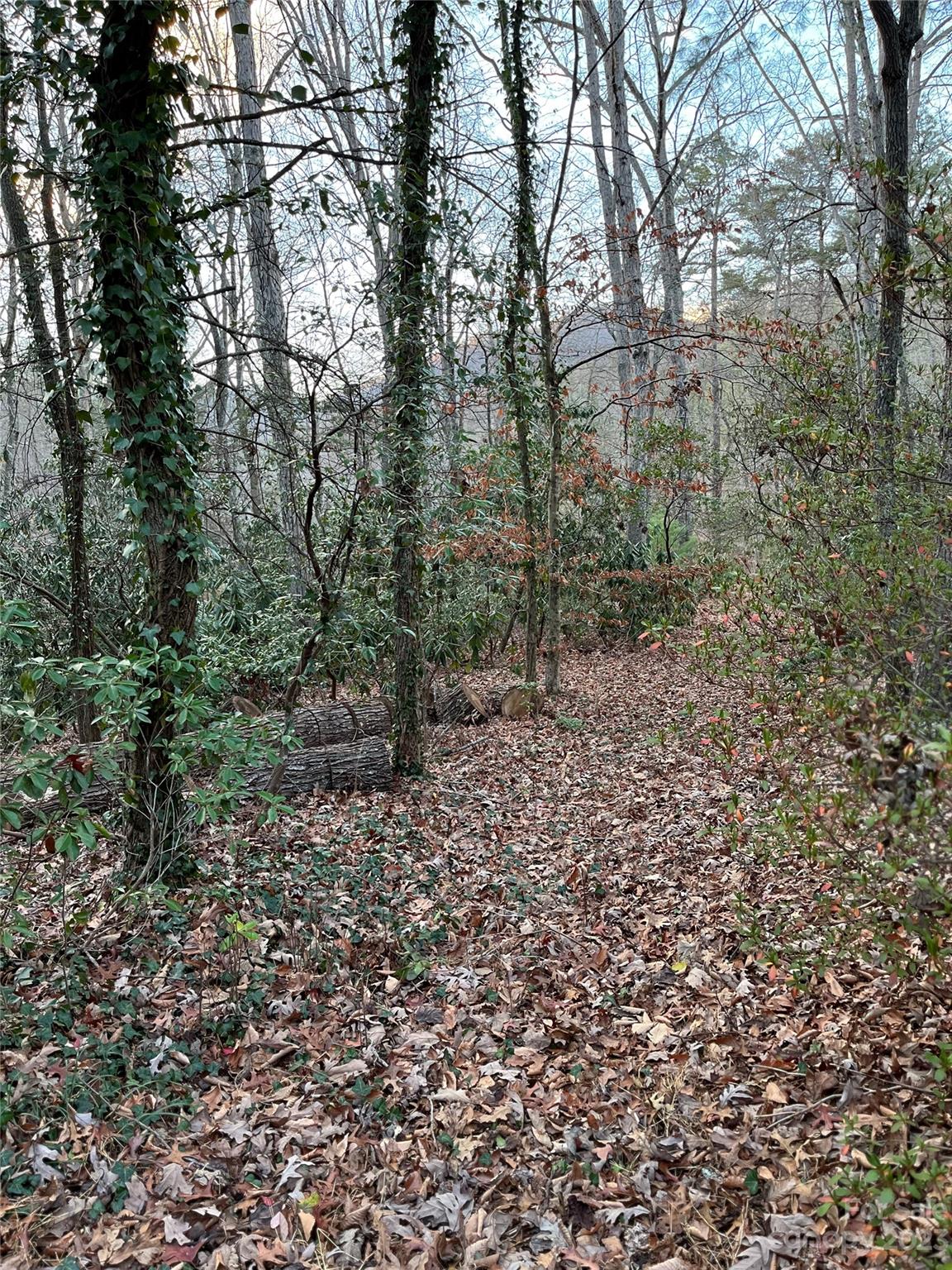 95 Shope Creek Road Asheville NC 28805