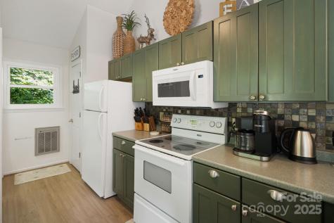 103 Maple Lane Beech Mountain NC 28604