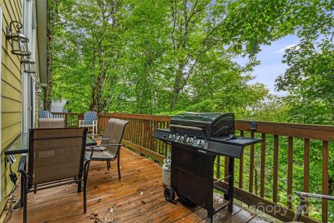 103 Maple Lane Beech Mountain NC 28604