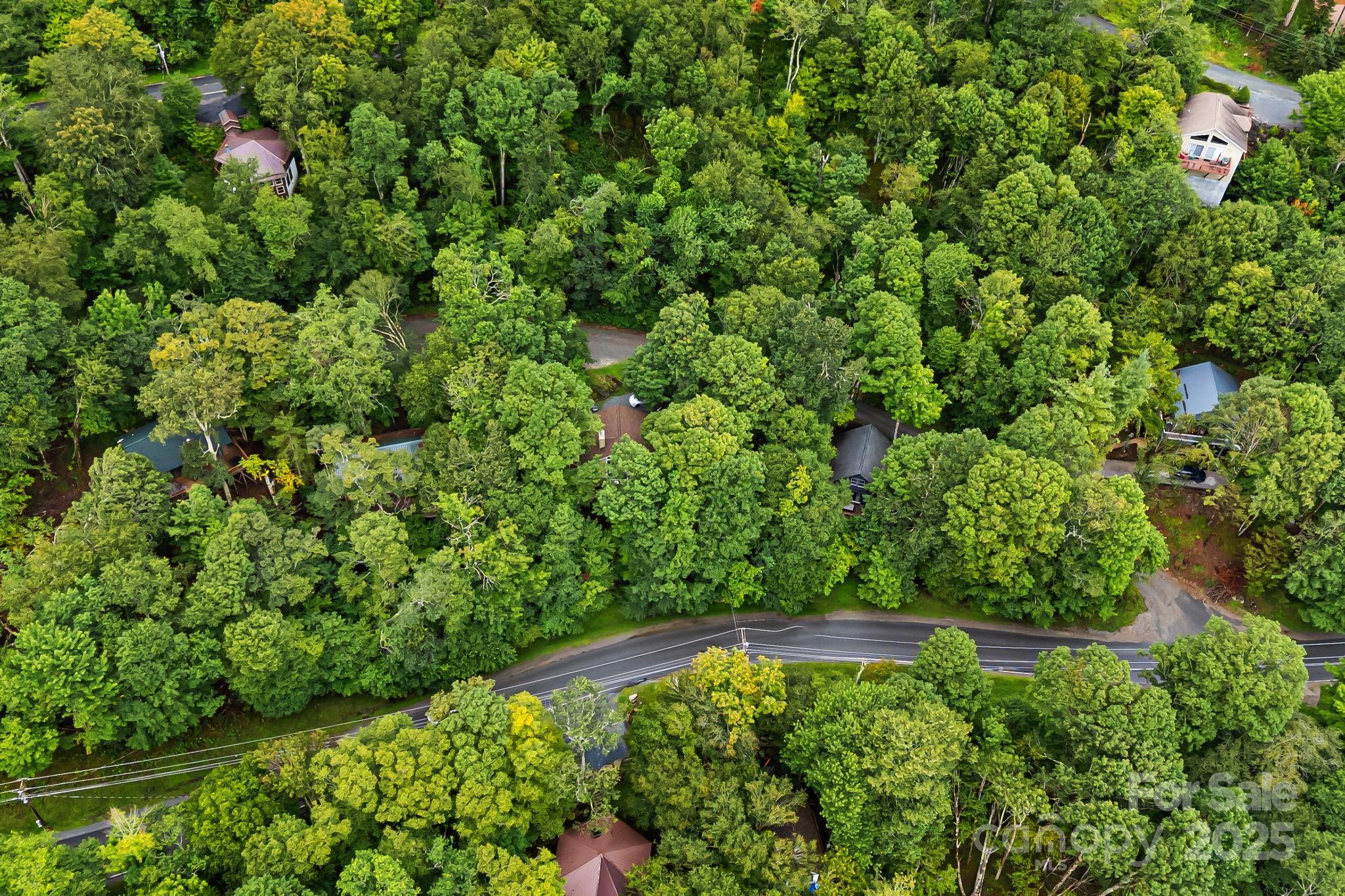 103 Maple Lane Beech Mountain NC 28604