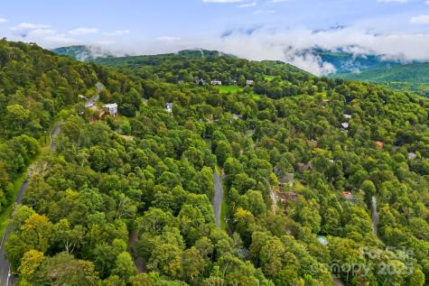 103 Maple Lane Beech Mountain NC 28604